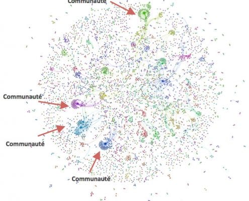 Mise en évidence des communautés de langage et des flux d'informations